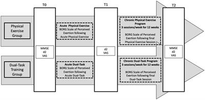 Aerobic physical exercise versus dual-task cognitive walking in cognitive rehabilitation of people with stroke: a randomized clinical trial